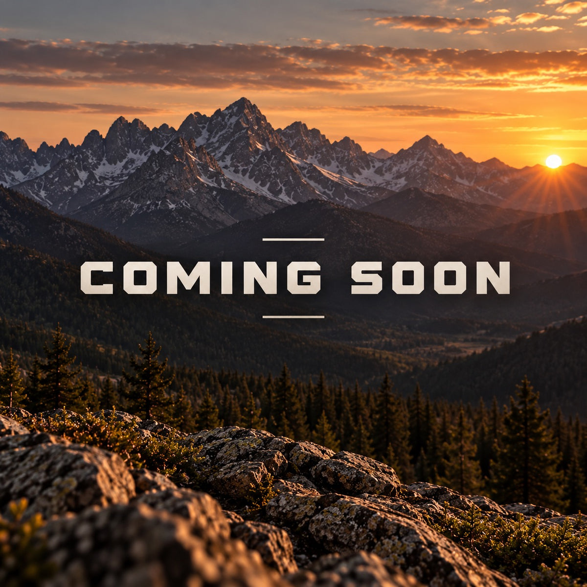 PREMIUM OPTICS. BUILT FOR THE FIELD.